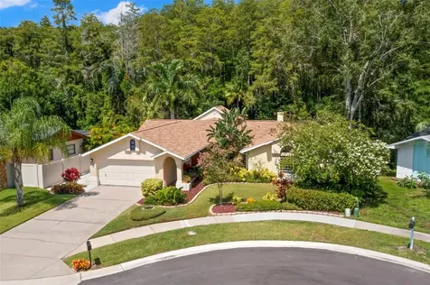 3663 Rusty Grackle Drive Palm Harbor FL 34683
