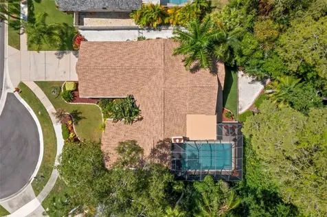 3663 Rusty Grackle Drive Palm Harbor FL 34683