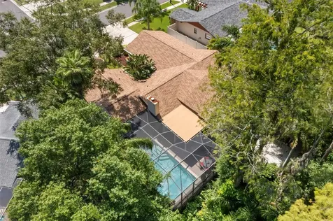 3663 Rusty Grackle Drive Palm Harbor FL 34683