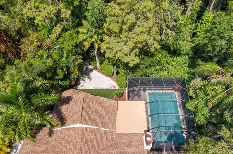 3663 Rusty Grackle Drive Palm Harbor FL 34683