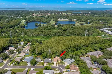 3663 Rusty Grackle Drive Palm Harbor FL 34683