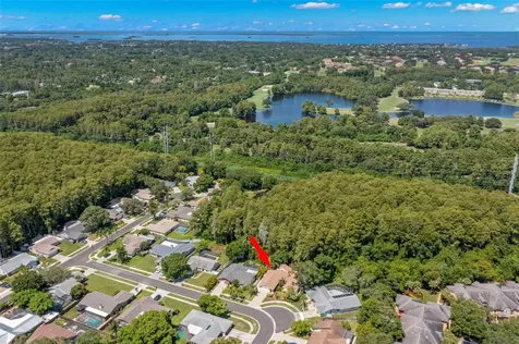 3663 Rusty Grackle Drive Palm Harbor FL 34683