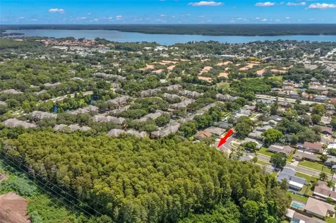3663 Rusty Grackle Drive Palm Harbor FL 34683