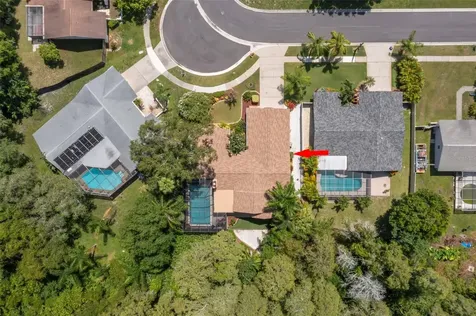 3663 Rusty Grackle Drive Palm Harbor FL 34683