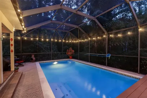 3663 Rusty Grackle Drive Palm Harbor FL 34683
