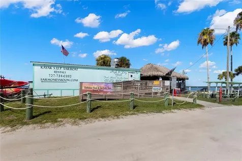 3663 Rusty Grackle Drive Palm Harbor FL 34683