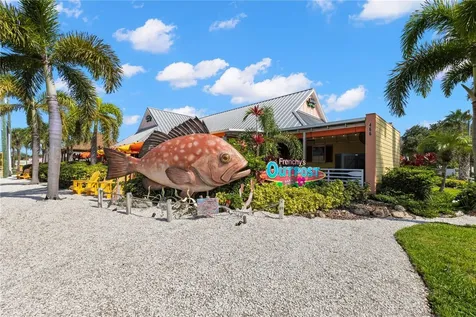 3663 Rusty Grackle Drive Palm Harbor FL 34683