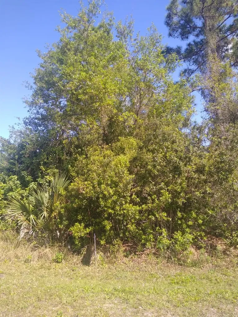 306 Mcdill Drive Port Charlotte FL 33953