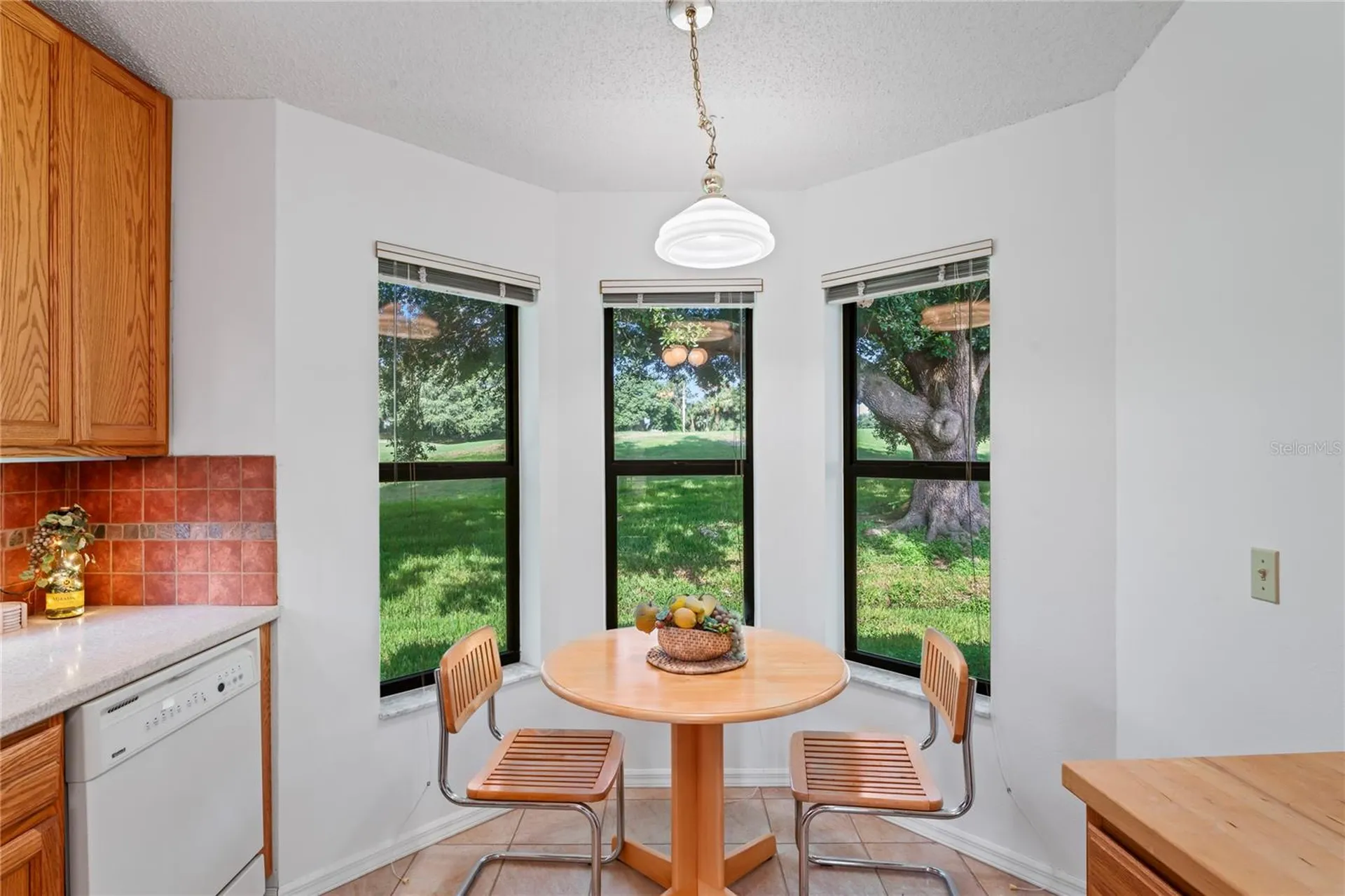 9108 Bassett Lane New Port Richey FL 34655