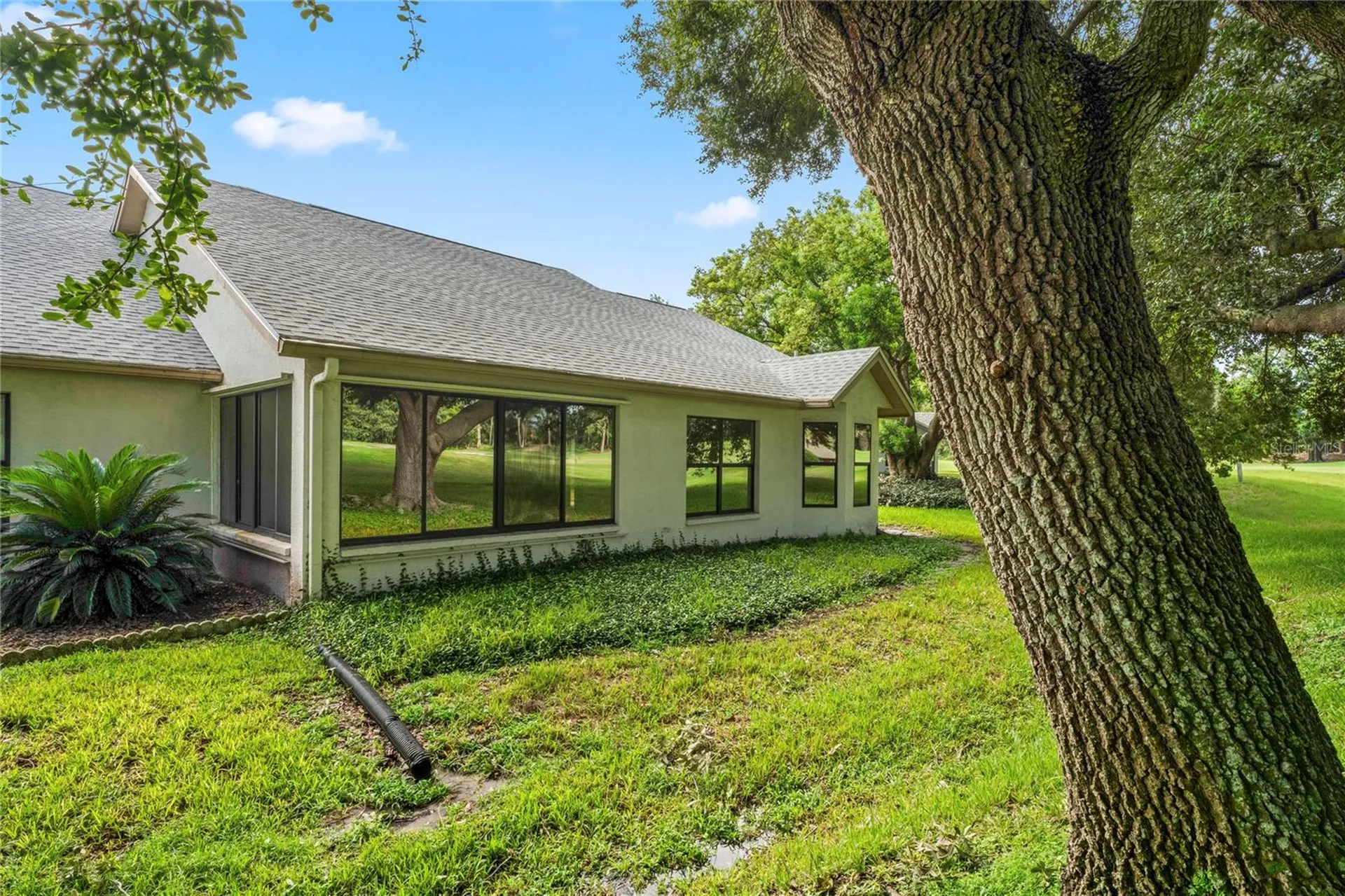 9108 Bassett Lane New Port Richey FL 34655