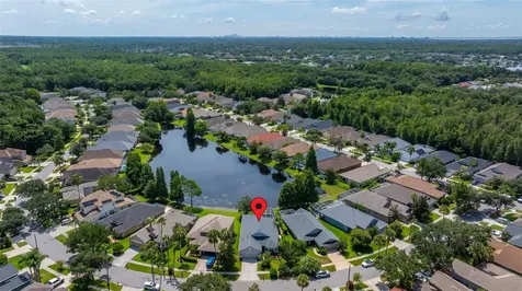 9615 Gretna Green Drive Tampa FL 33626