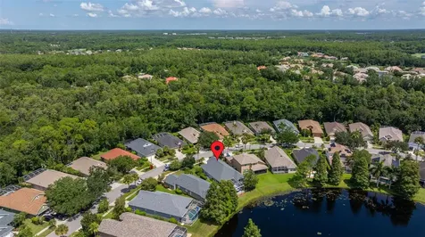 9615 Gretna Green Drive Tampa FL 33626