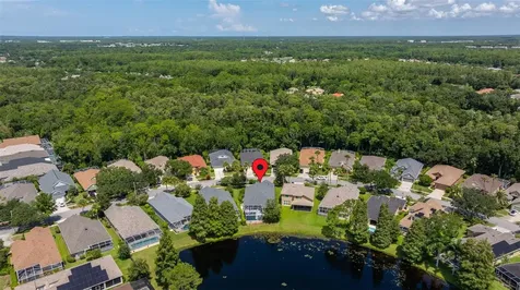 9615 Gretna Green Drive Tampa FL 33626