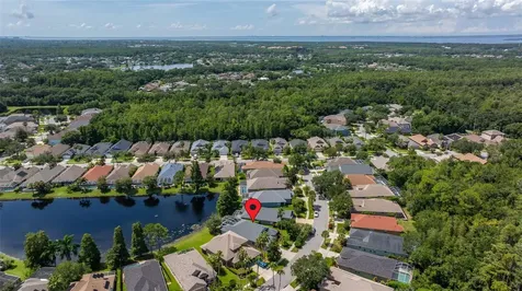 9615 Gretna Green Drive Tampa FL 33626