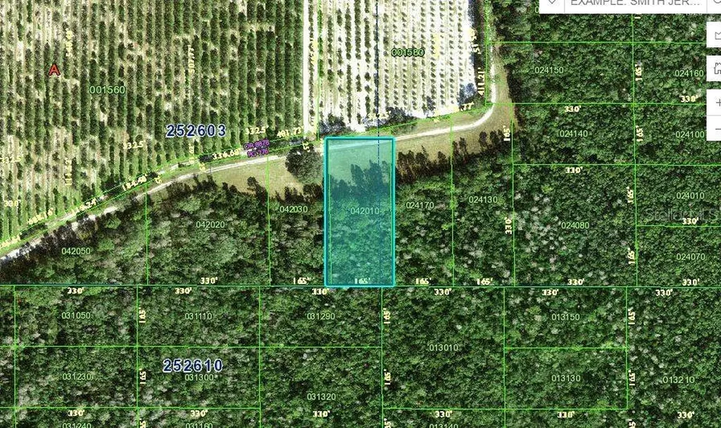 Deen Still Road Polk City FL 33868