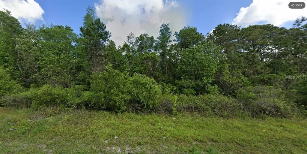 Deen Still Road Polk City FL 33868