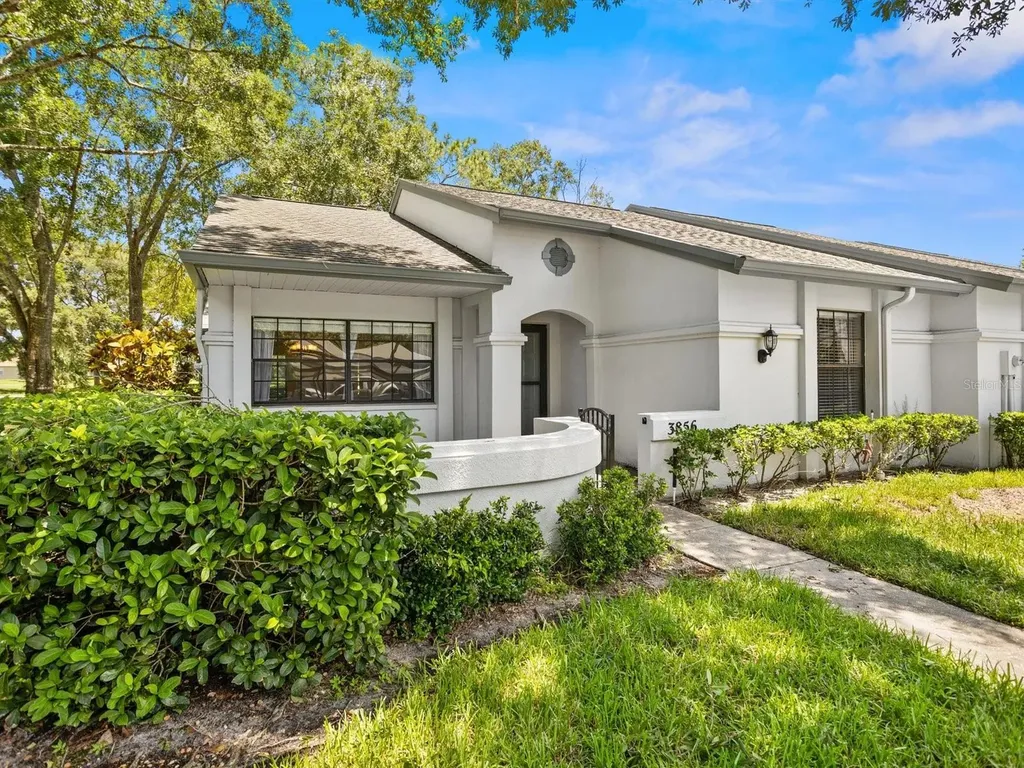 3856 Goldfinch Court Palm Harbor FL 34685