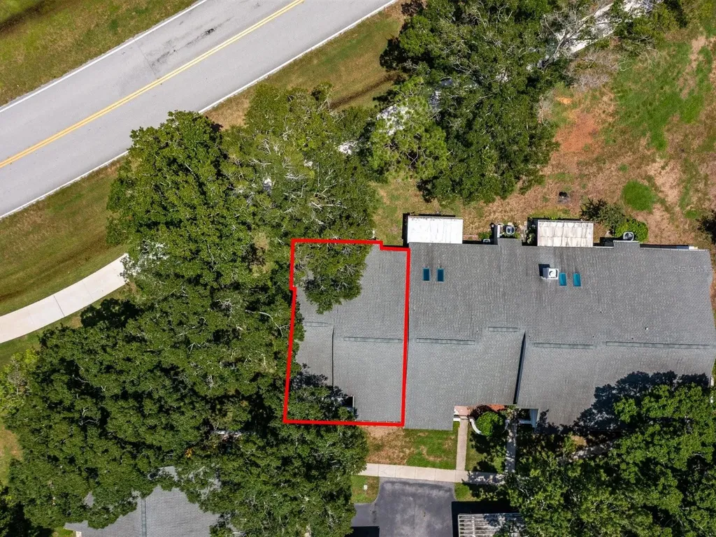 3856 Goldfinch Court Palm Harbor FL 34685