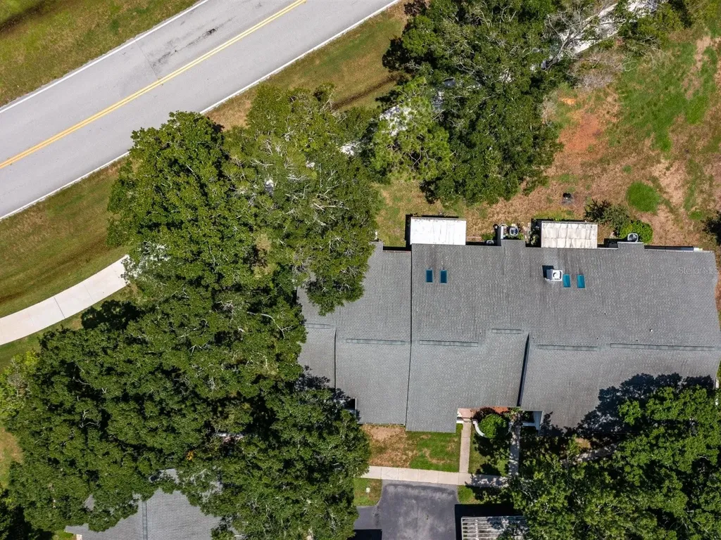 3856 Goldfinch Court Palm Harbor FL 34685