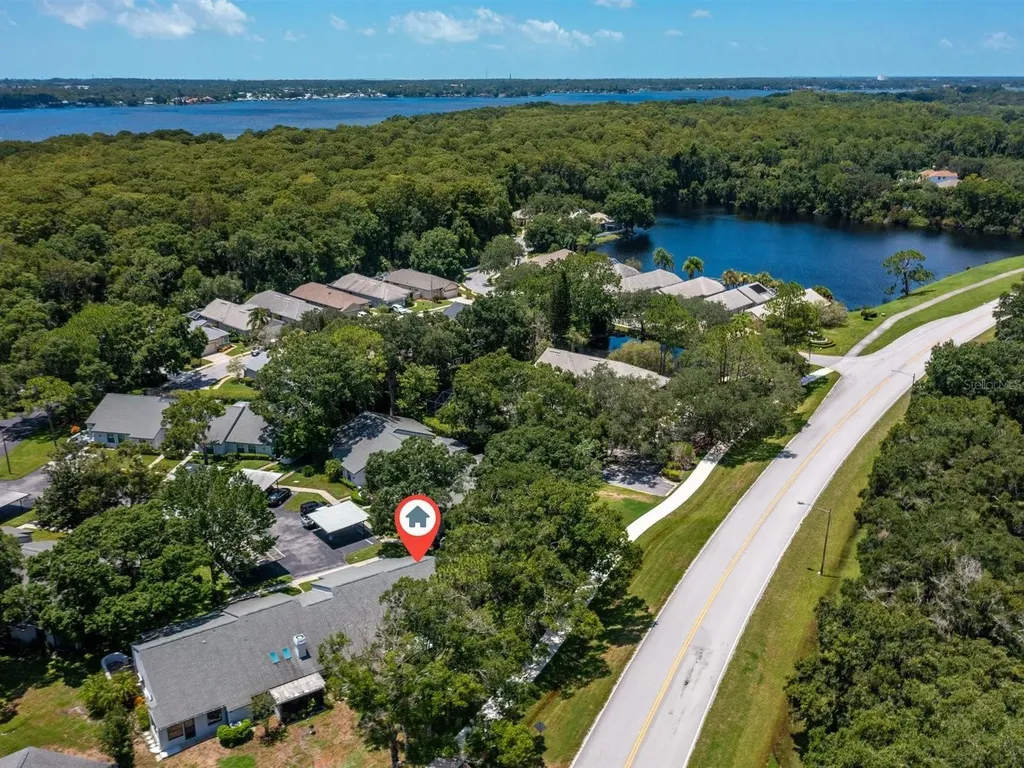 3856 Goldfinch Court Palm Harbor FL 34685