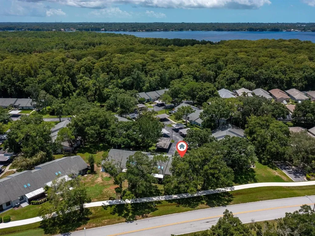 3856 Goldfinch Court Palm Harbor FL 34685