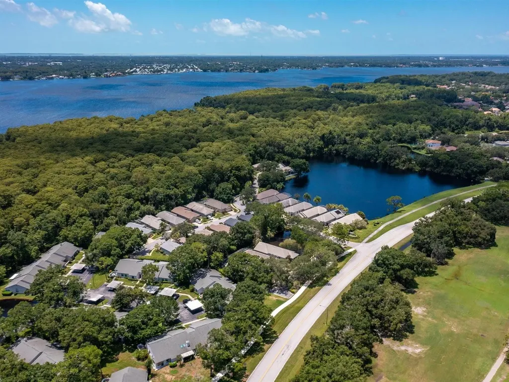3856 Goldfinch Court Palm Harbor FL 34685