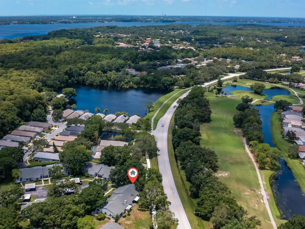 3856 Goldfinch Court Palm Harbor FL 34685