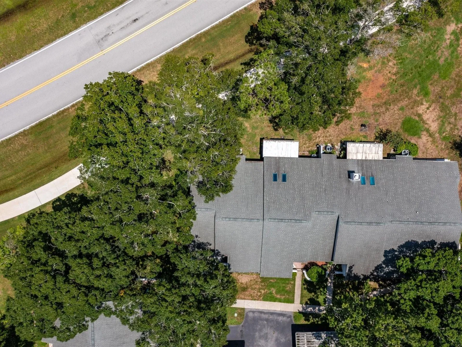 3856 Goldfinch Court Palm Harbor FL 34685