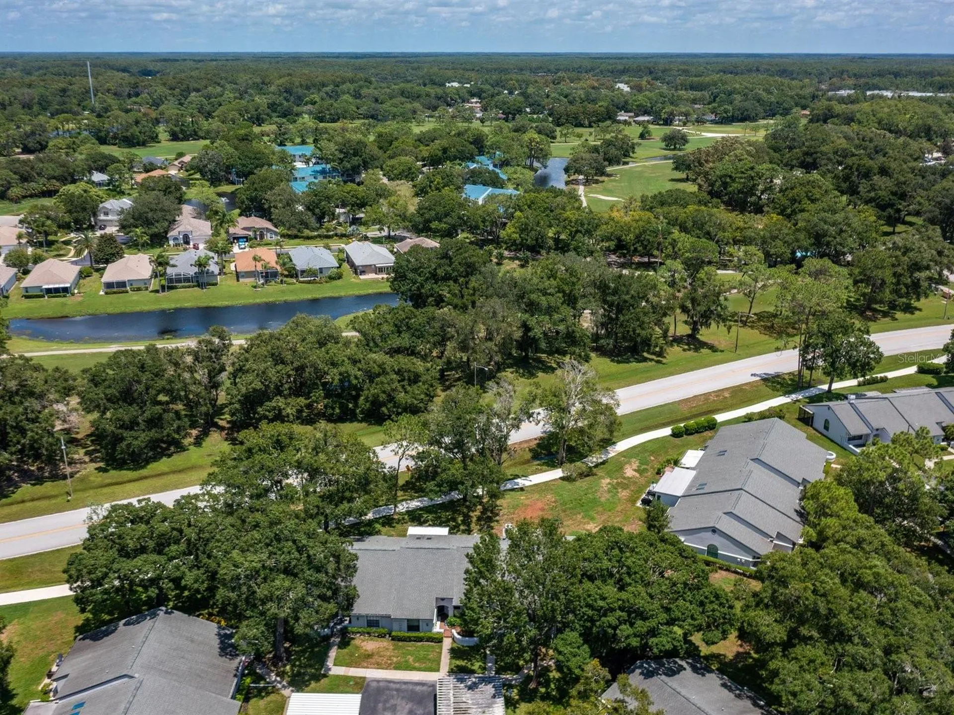 3856 Goldfinch Court Palm Harbor FL 34685