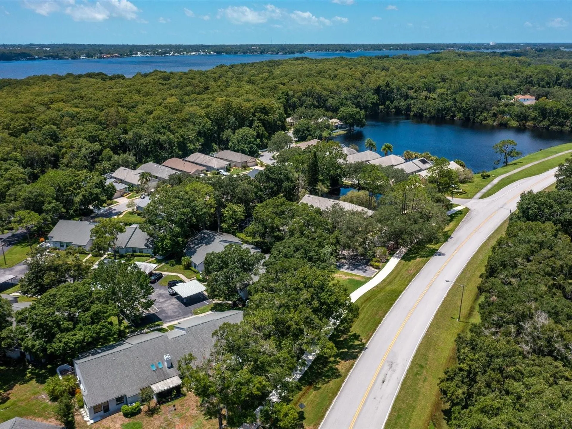 3856 Goldfinch Court Palm Harbor FL 34685