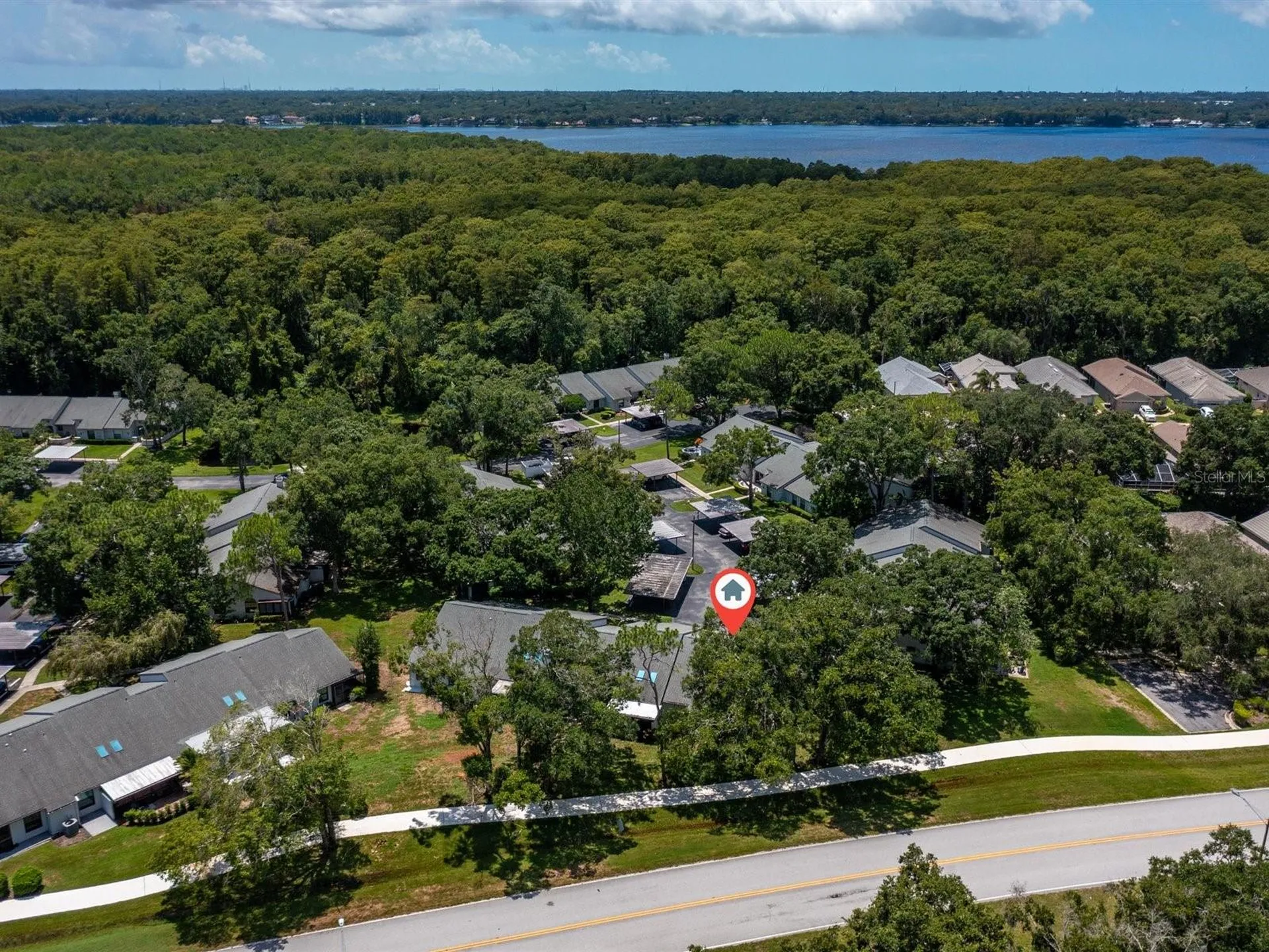 3856 Goldfinch Court Palm Harbor FL 34685