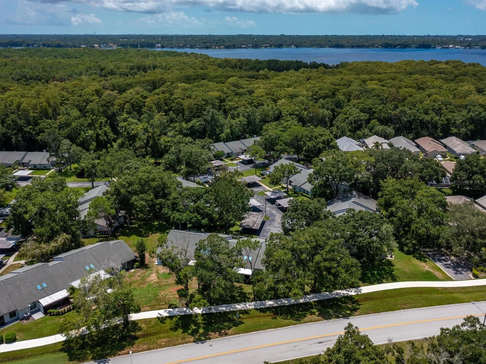 3856 Goldfinch Court Palm Harbor FL 34685