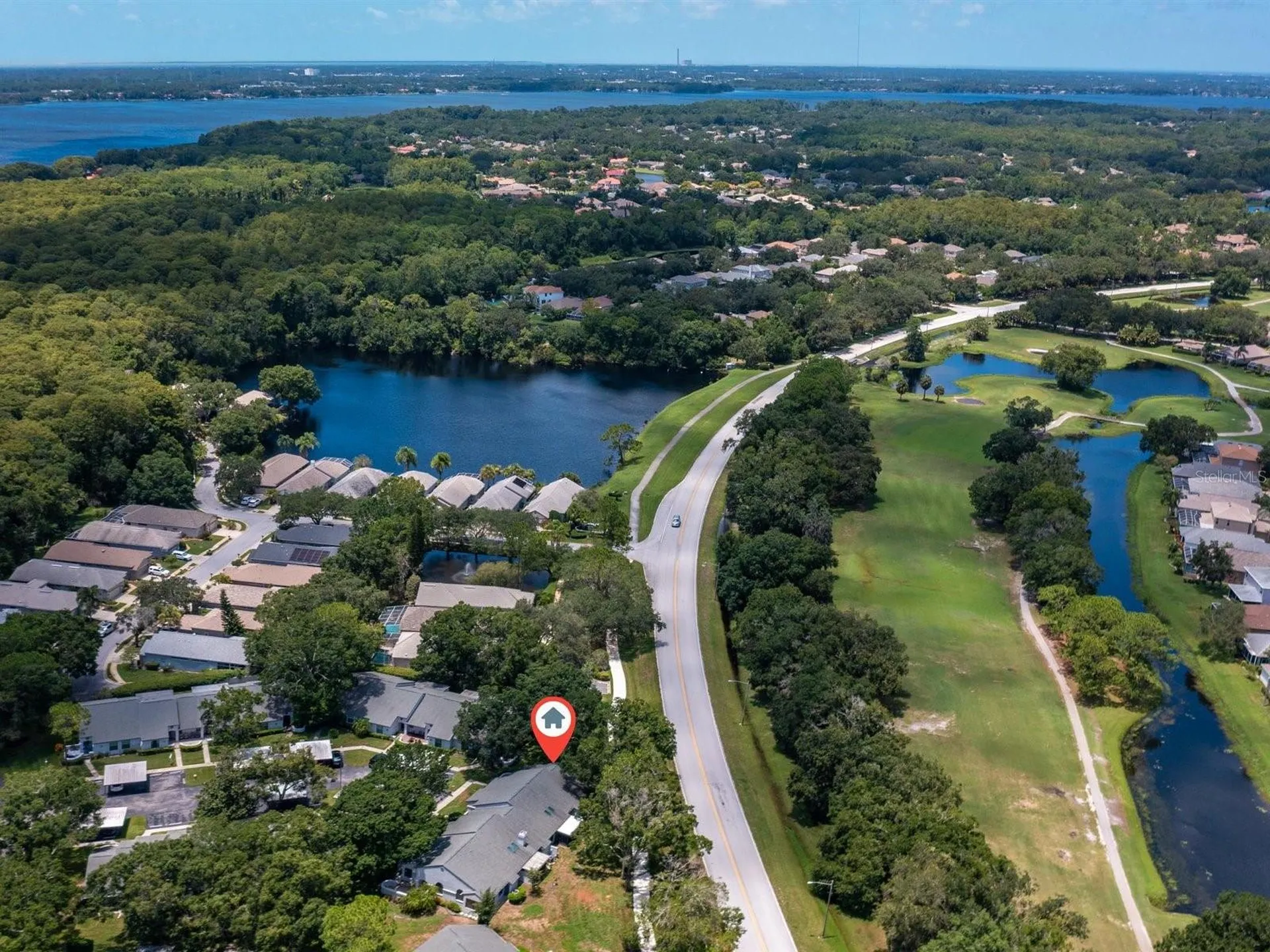 3856 Goldfinch Court Palm Harbor FL 34685