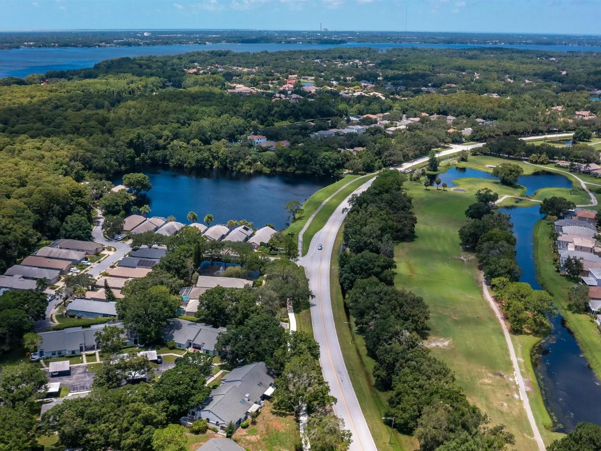 3856 Goldfinch Court Palm Harbor FL 34685
