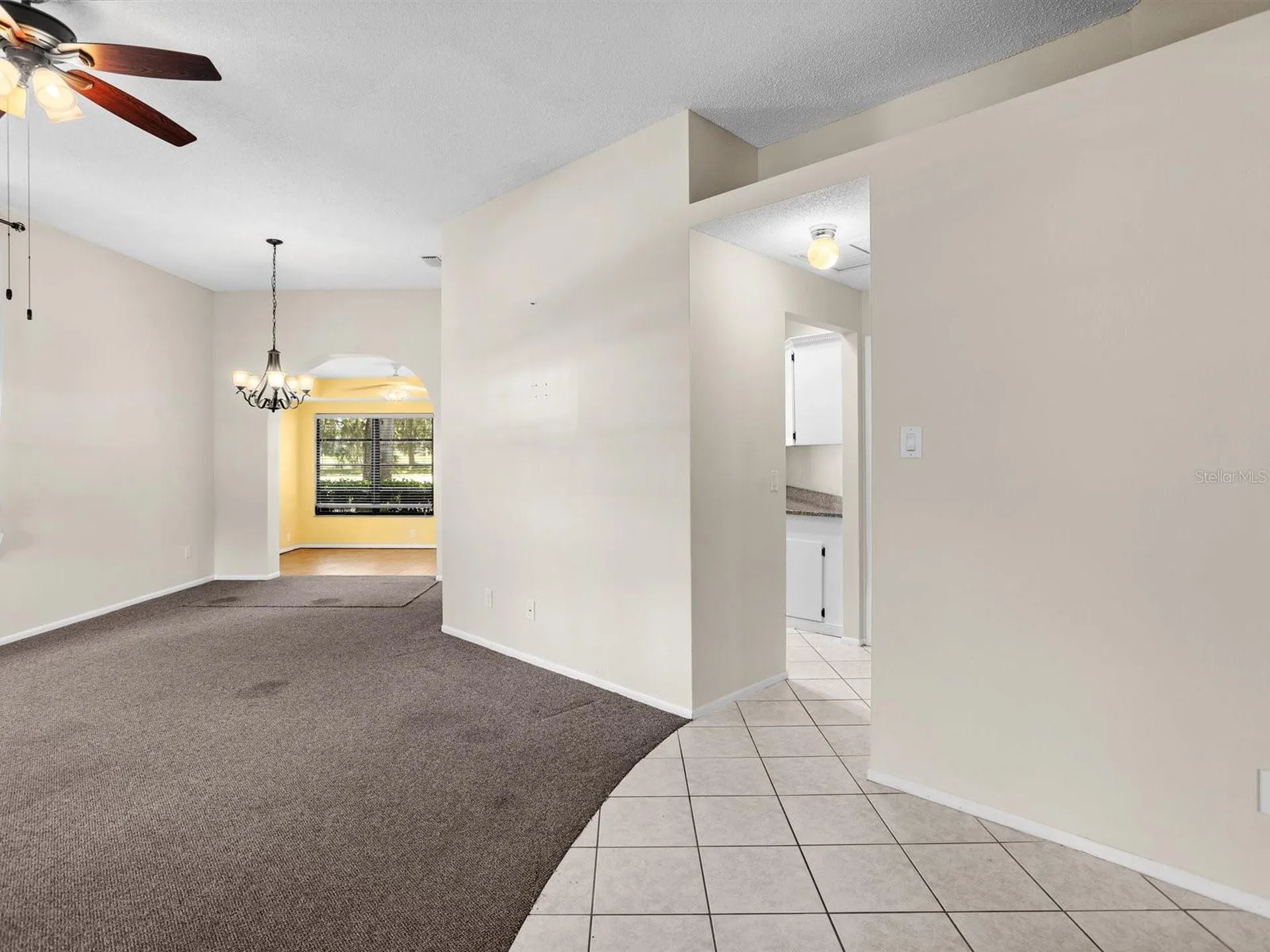 3856 Goldfinch Court Palm Harbor FL 34685