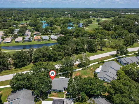 3856 Goldfinch Court Palm Harbor FL 34685