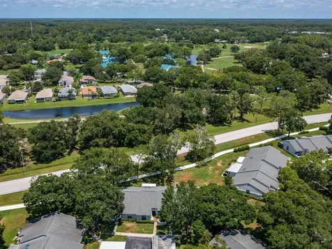 3856 Goldfinch Court Palm Harbor FL 34685