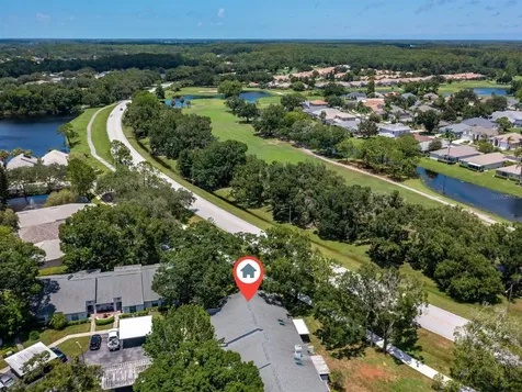 3856 Goldfinch Court Palm Harbor FL 34685