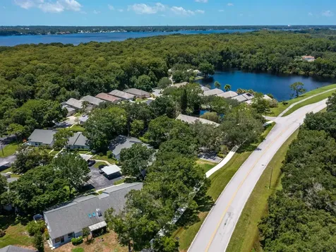 3856 Goldfinch Court Palm Harbor FL 34685