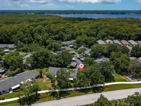 3856 Goldfinch Court Palm Harbor FL 34685