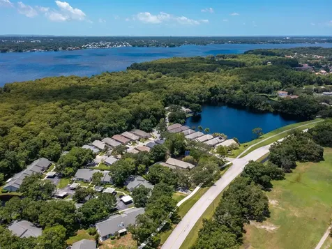 3856 Goldfinch Court Palm Harbor FL 34685