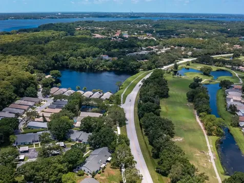 3856 Goldfinch Court Palm Harbor FL 34685