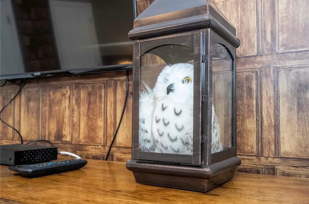 4837 Dedication Street Kissimmee FL 34746