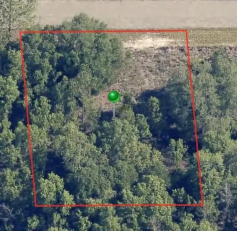6654 N Underwood Drive Citrus Springs FL 34434