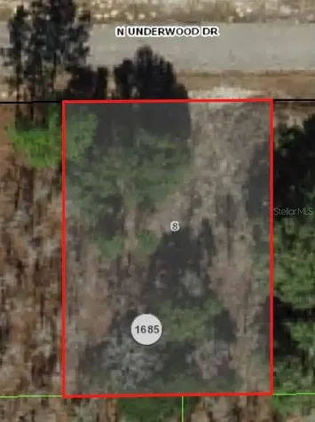 6654 N Underwood Drive Citrus Springs FL 34434