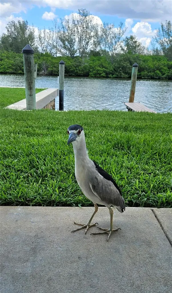 18399 Gulf Boulevard Indian Shores FL 33785