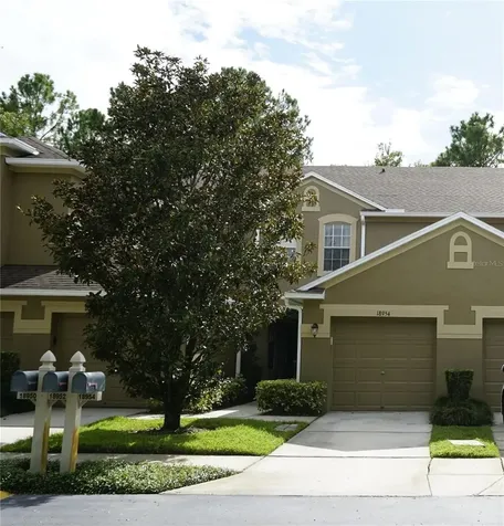 18954 Duquesne Drive Tampa FL 33647