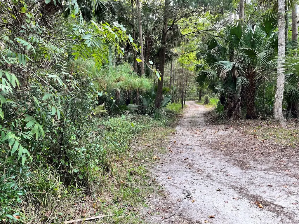 2888 NE 102nd Terrace Silver Springs FL 34488