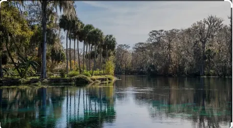 2888 NE 102nd Terrace Silver Springs FL 34488