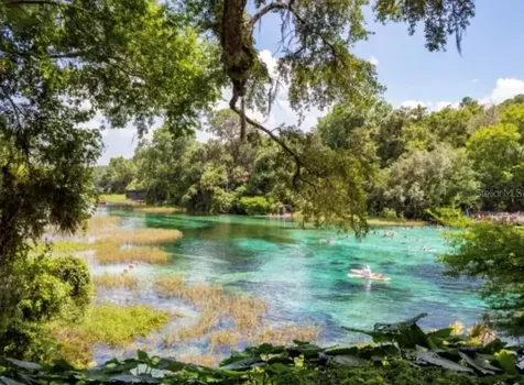 2888 NE 102nd Terrace Silver Springs FL 34488